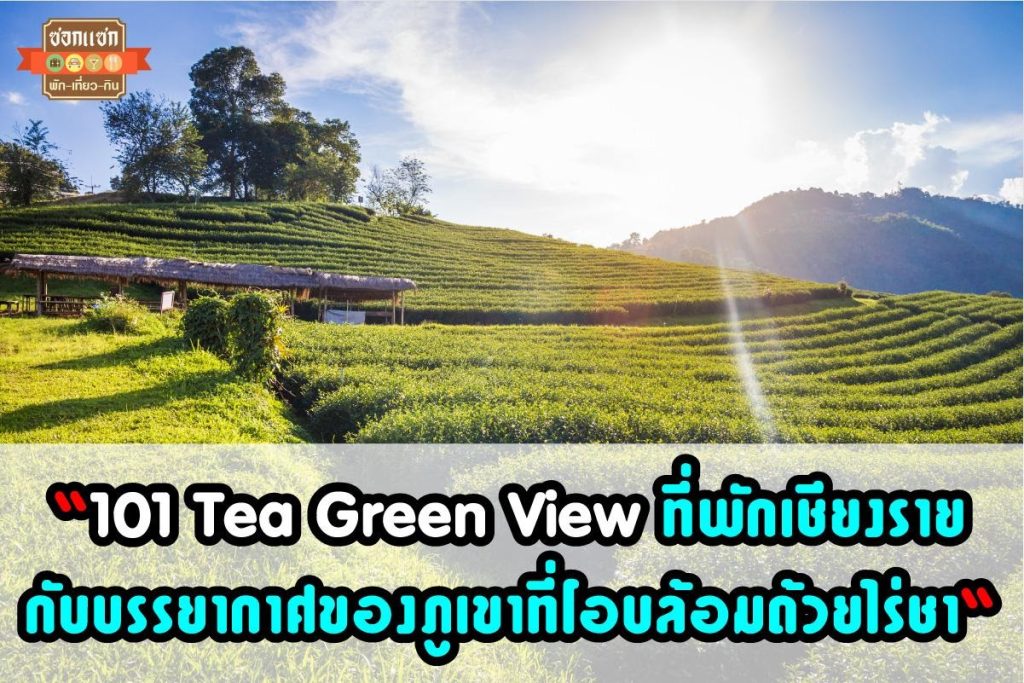 101 Tea Green View