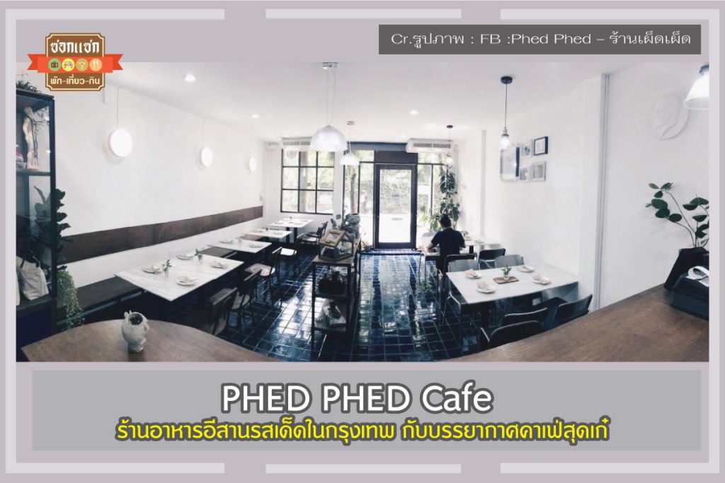 PHED PHED Cafe