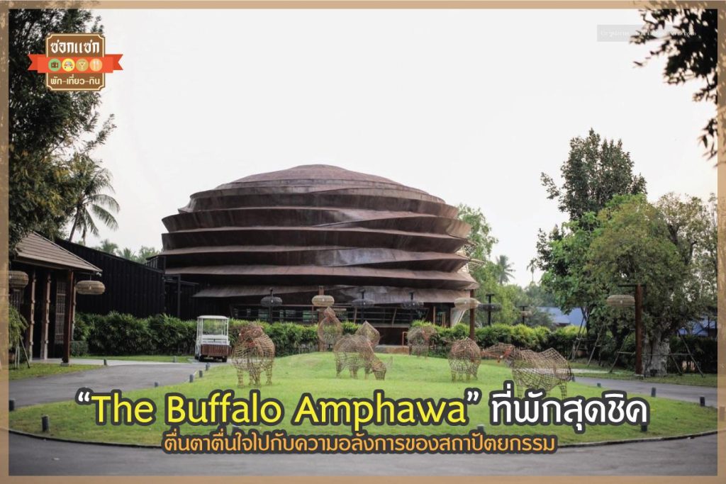 The Buffalo Amphawa
