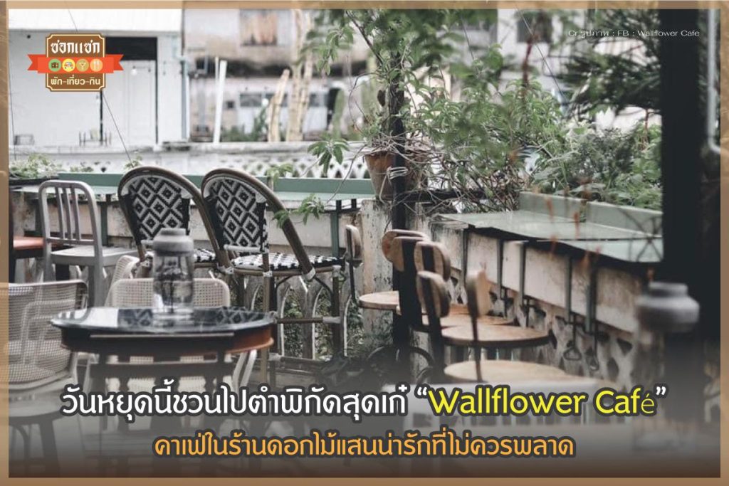 Wallflower Cafe