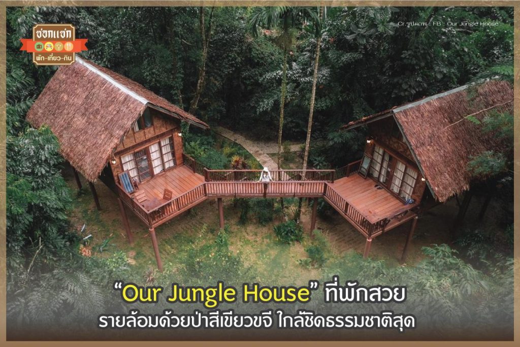 Our Jungle House