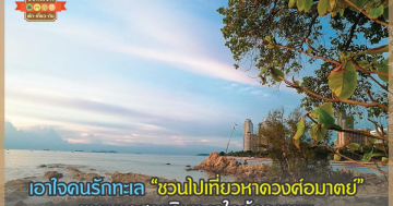 หาดวงศ์อมาตย์