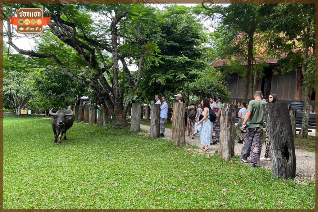 พิพิธภัณฑ์บ้านดำ